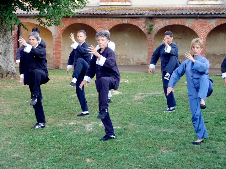Tai Chi Lyon — arts martiaux-studio à Lyon — 5