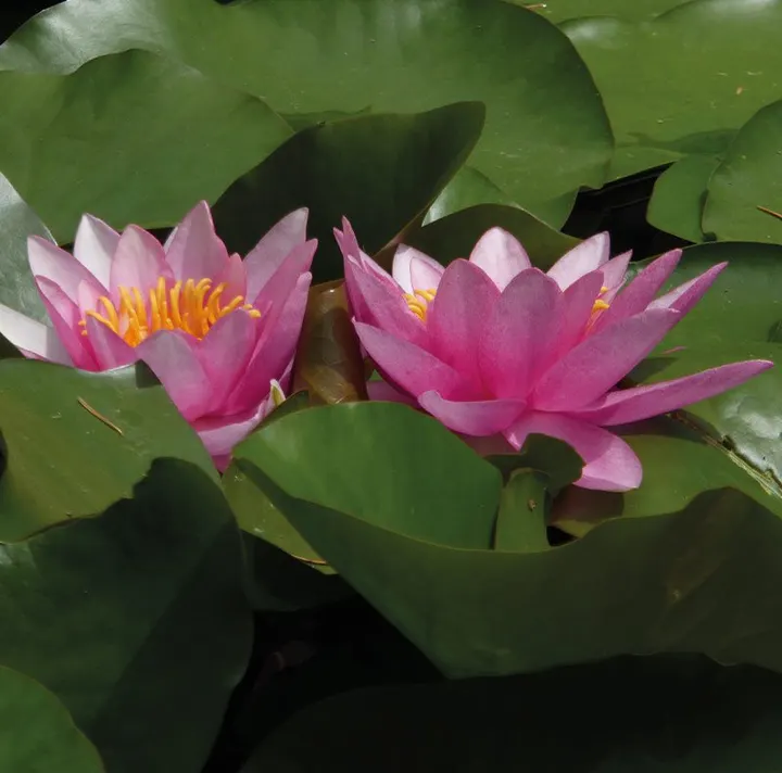 Yogawirkstatt — yoga-studio in Regensburg — 5