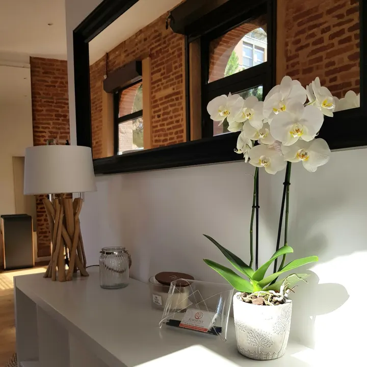 HARMONY PILATES YOGA — pilates-studio à Montauban — 4