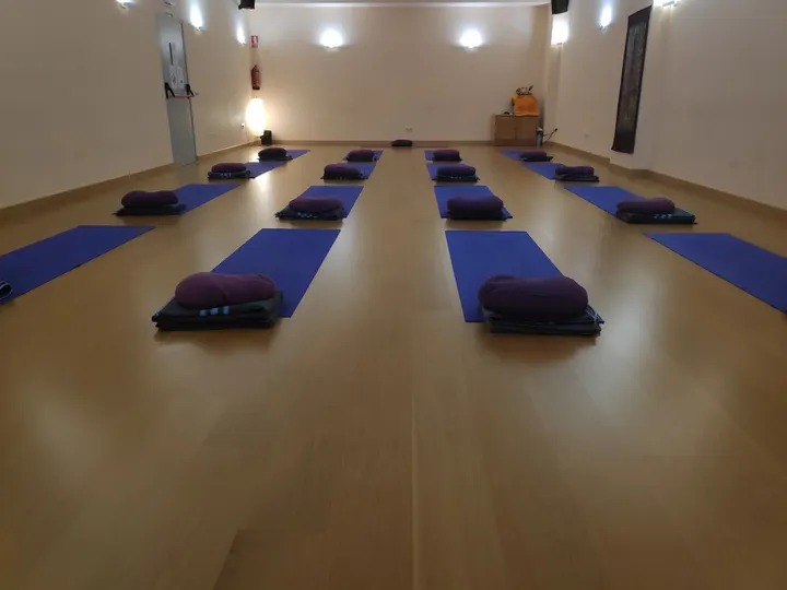 Omyoga Almendrales — yoga-studio en Usera, Madrid — 3