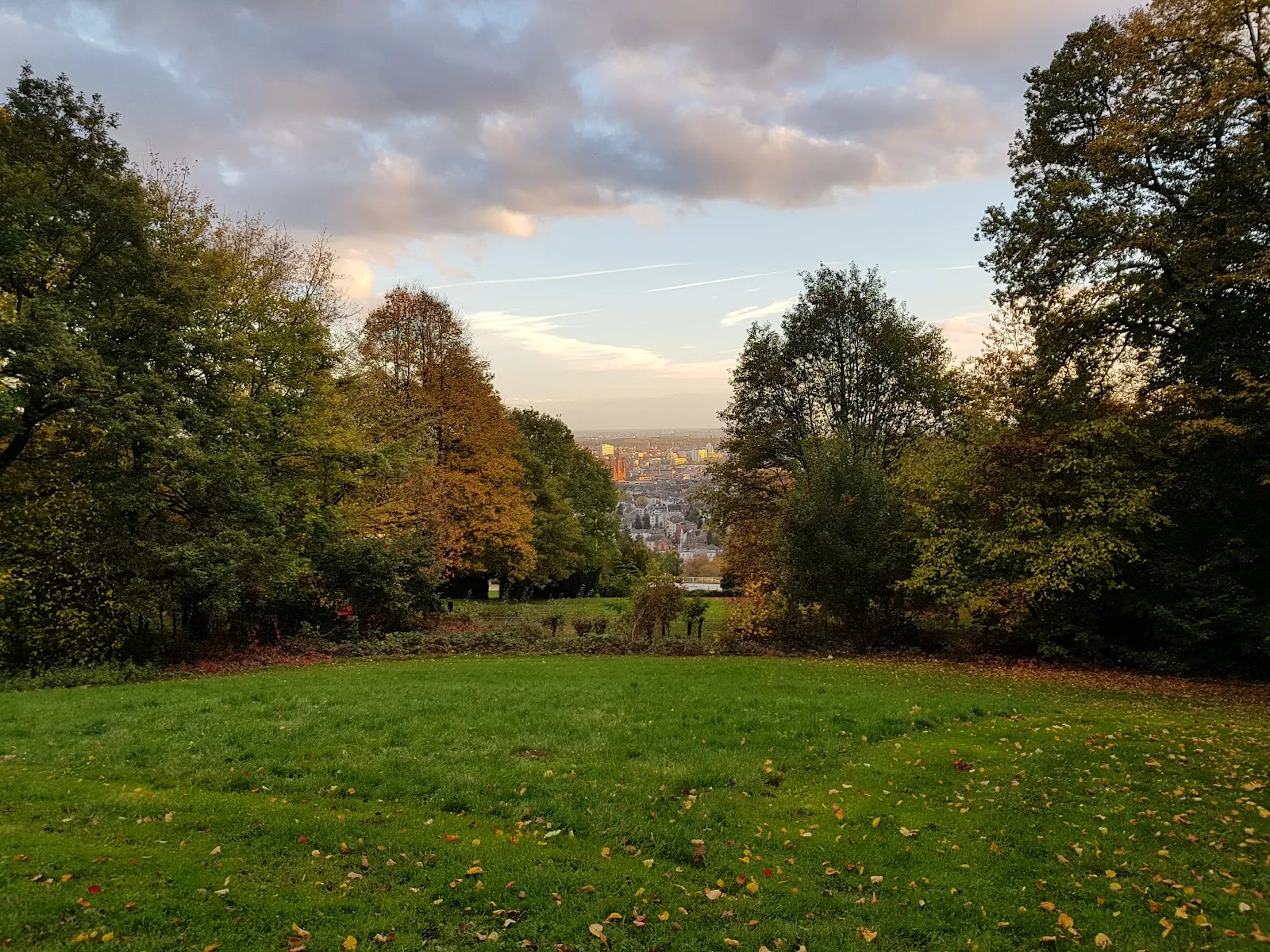 Weitblick Kletterwald Neroberg — klettern-studio in Wiesbaden — 4