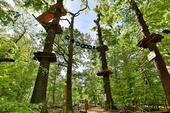Weitblick Kletterwald Neroberg — Klettern in Nordost, Wiesbaden
