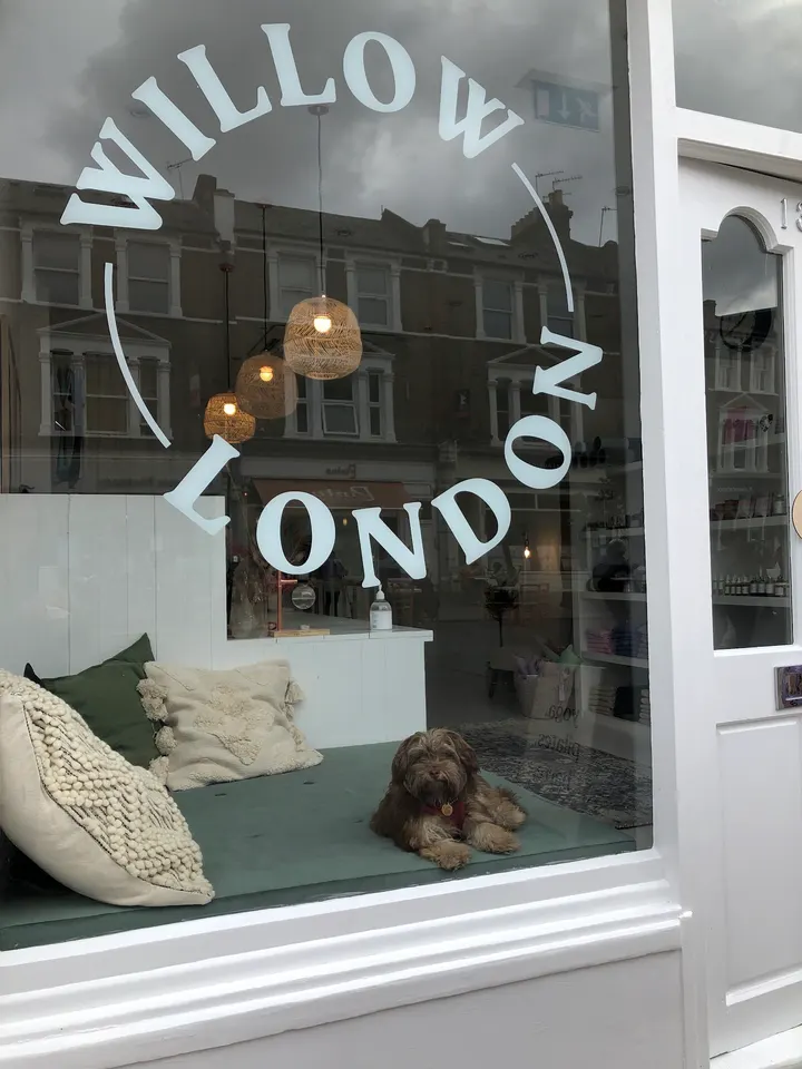 Willow Yoga — reformer pilates-studio in Clapham Junction, London — 2