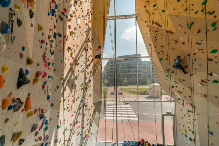 Climbing Network Dordrecht — klimmen-studio in Dordrecht — 2