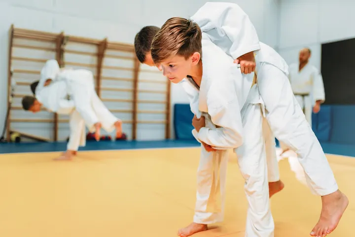 Judo Club du Parc — Arts martiaux aux Brotteaux, Lyon
