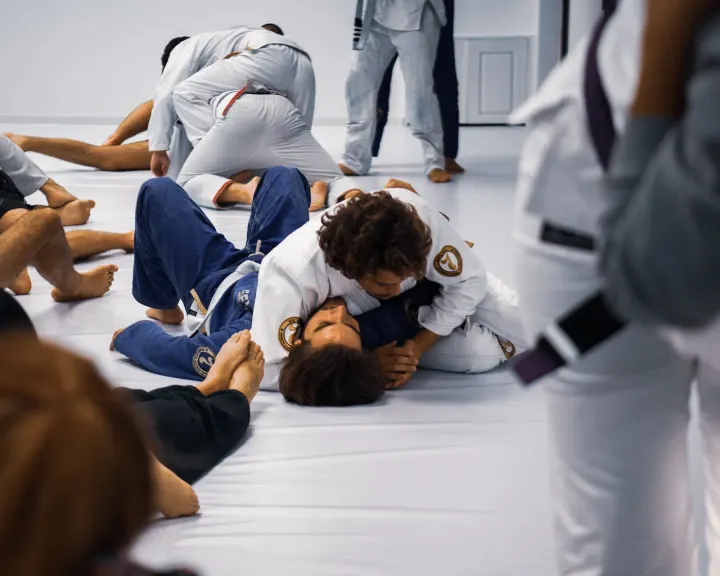 Victorious Jiu Jitsu — jiu-jitsu brasileiro-studio em Porto — 2