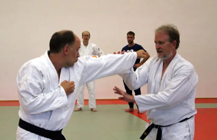 Ju-Jutsu — bjj-studio in Krusenbusch, Oldenburg — 3
