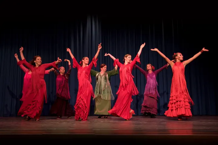 LA SOLEÁ - Zentrum für Flamencokunst — tanz-studio in Freiburg im Breisgau — 6