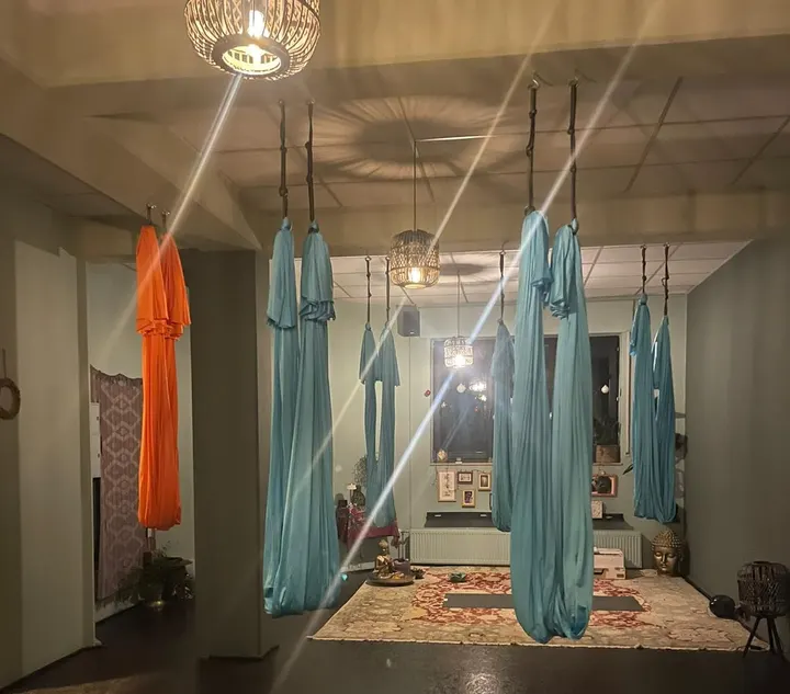 Online - YogaMia — Yoga in Sülz, Köln