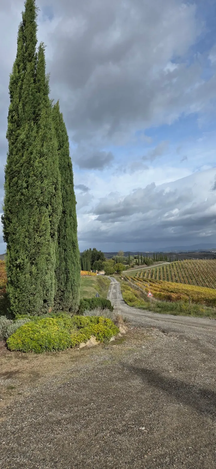 Breath of Life Retreat — breathwork-studio a Firenze — 3