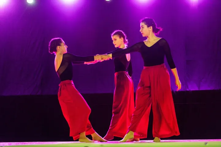 Arcadia Danza — danza-studio a Reggio Emilia — 3