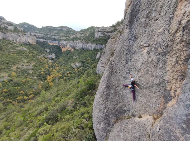 Picusguia — escalada-studio en Sant Francesc, Valencia — 2