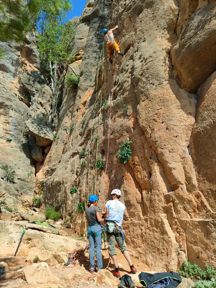 Picusguia — escalada-studio en Valencia — 4