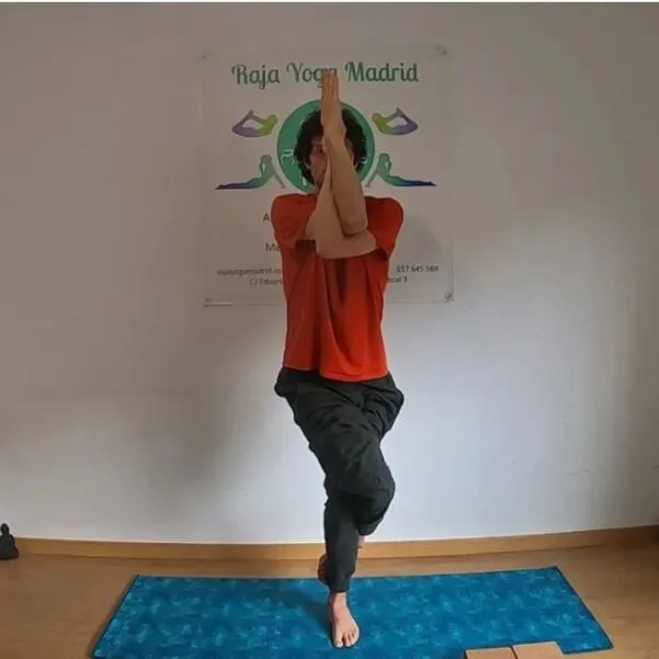 Raja Yoga Madrid — yoga-studio en Torrelodones — 2