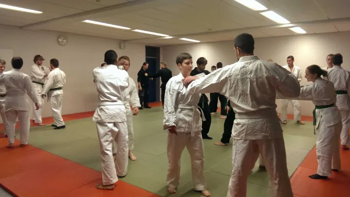 Fudoshin Dojo Erfurt e.V. — Kampfsport in Altstadt, Erfurt