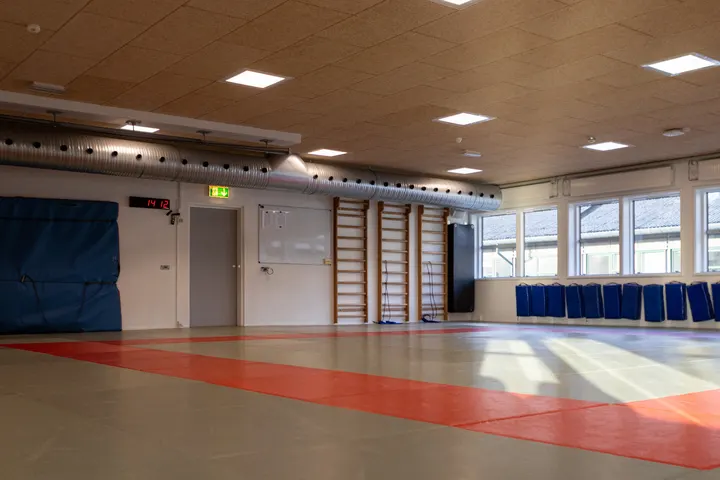 Viking BJJ — kampsport-studio i København — 3