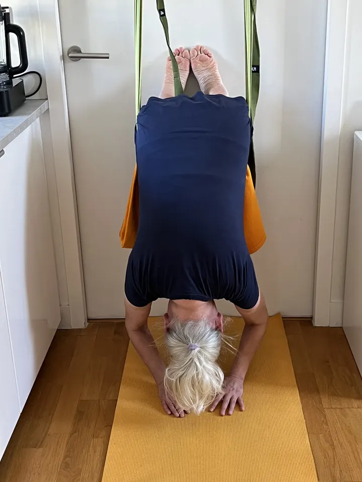 Valérie Lemaire SOHAM Yoga, Ayurveda et Périnatalité — yoga-studio à Clos Pré Renault, Orléans — 2