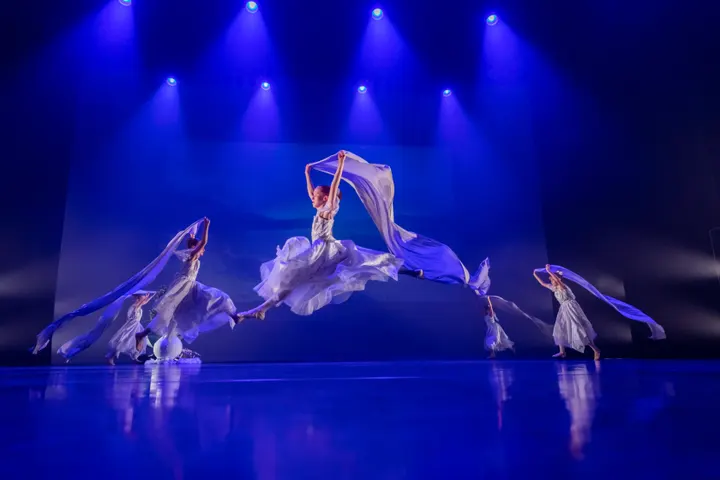 Ballet & Dansstudio Door Laverman — dans-studio in Voorburg — 4