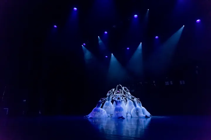 Ballet & Dansstudio Door Laverman — Dans in Essesteijn, Voorburg