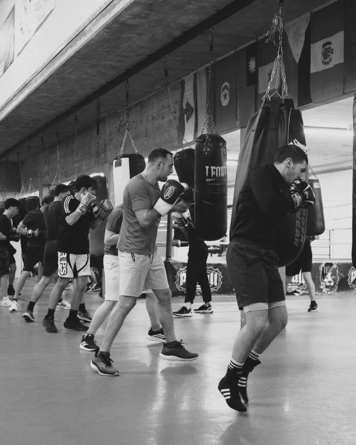 Boxe Parma — Boxe a Molinetto, Parma