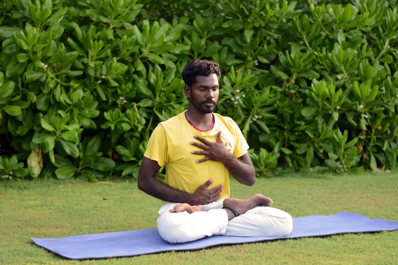 Samudra Yoga & Wellness — yoga-studio en Almería — 3