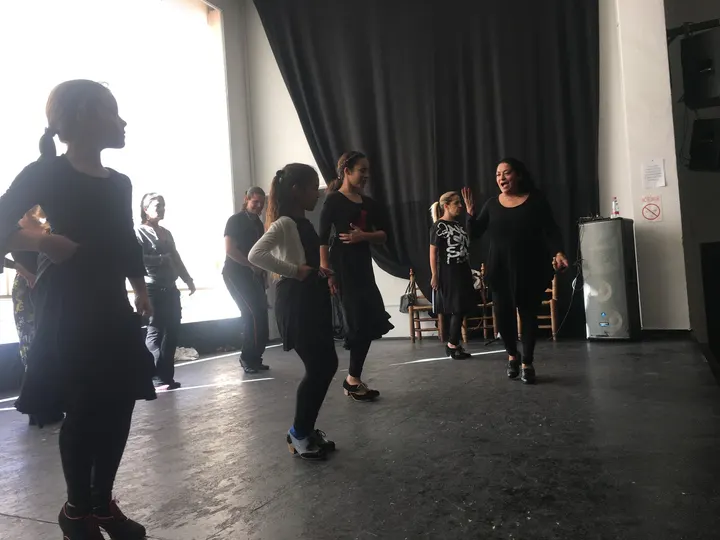 Escuela Internacional de Flamenco Manolete — baile-studio en Sacromonte, Granada — 2