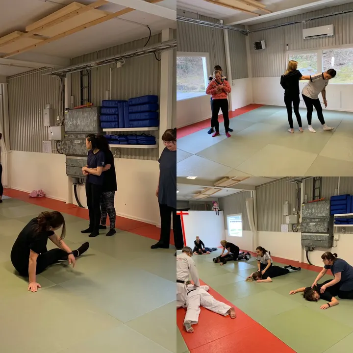 Kungälvs Självförsvarsklubb Chikara — bjj-studio i Göteborg — 3