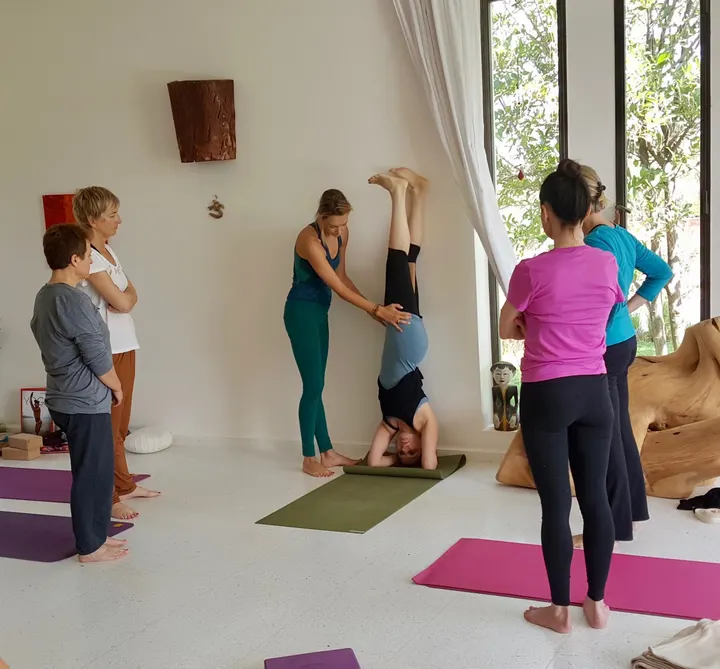Yogaline - Stéphanie Billard — yoga-studio à Paris — 3