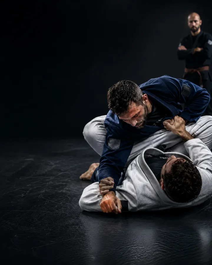 Grey Wolf Jiu Jitsu Bergamo — bjj-studio a Azzano San Paolo — 2