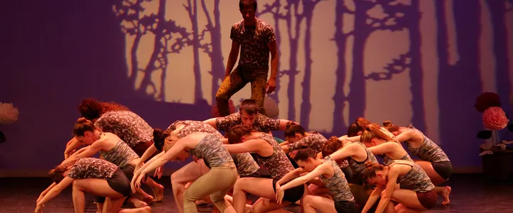 L'Akadémie École de danse — danse-studio à Rebberg, Mulhouse — 3