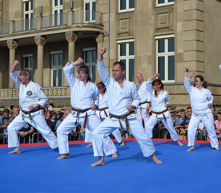 Shotokan Karate Nederland Den Haag — vechtsport-studio in Den Haag — 3