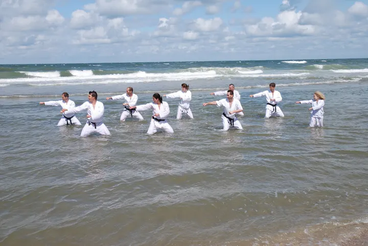 Shotokan Karate Nederland Den Haag — Vechtsport in Leidschenveen-Ypenburg, Den Haag