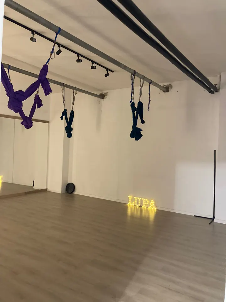 LUPA Creative Studio — pole dance-studio a Torrino, Roma — 3
