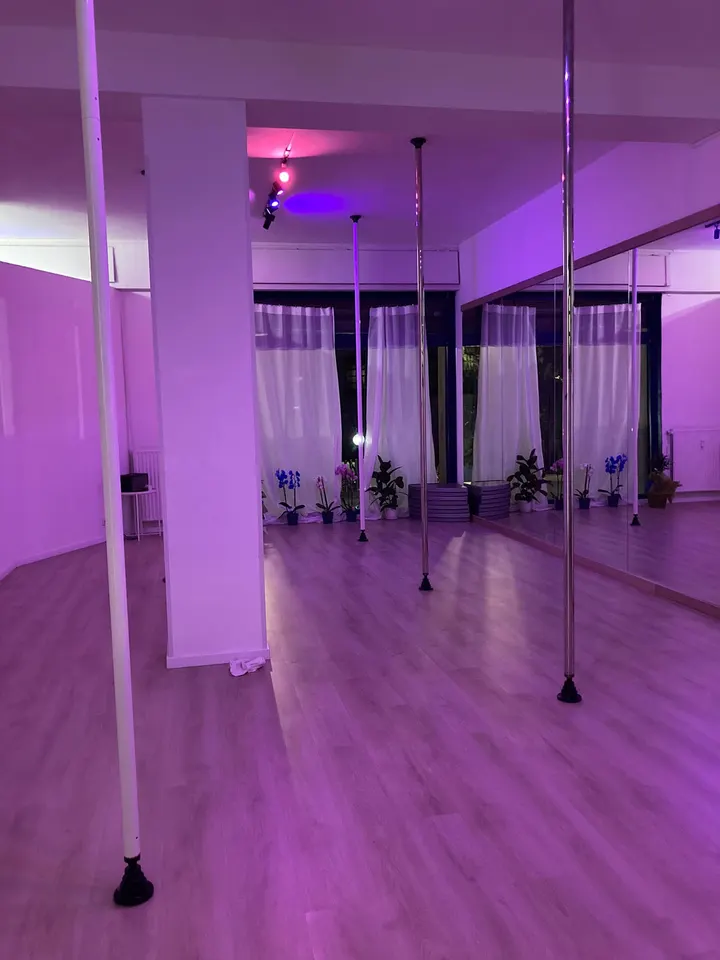 LUPA Creative Studio — pole dance-studio a Roma — 3