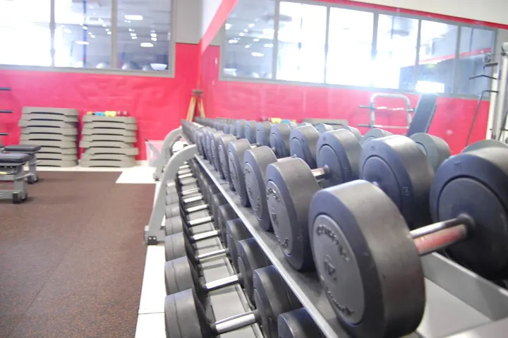 Amici del Fitness — palestre-studio a Case Osti, Bologna — 3