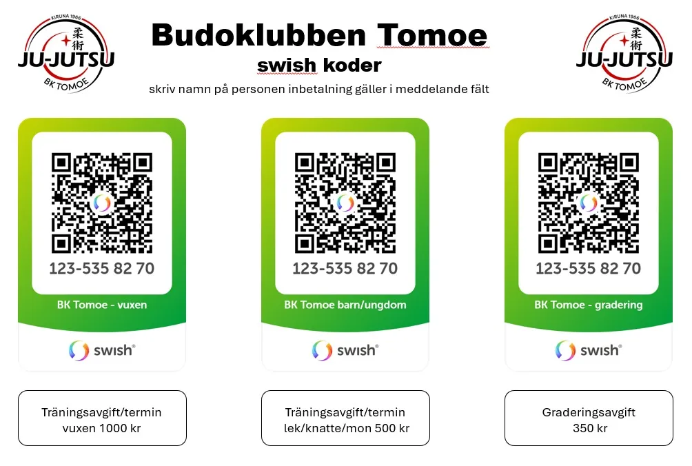 Budoklubben Tomoe — kampsport-studio i Kiruna — 2
