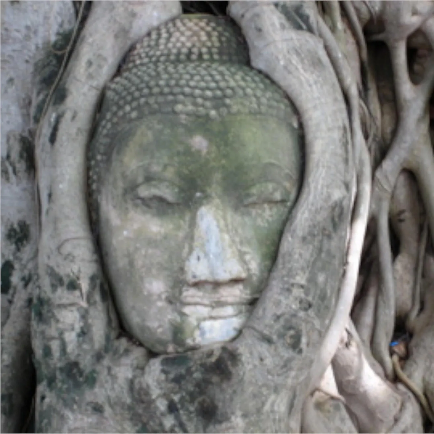 YogaBe — yoga-studio i Arnstadt — 3