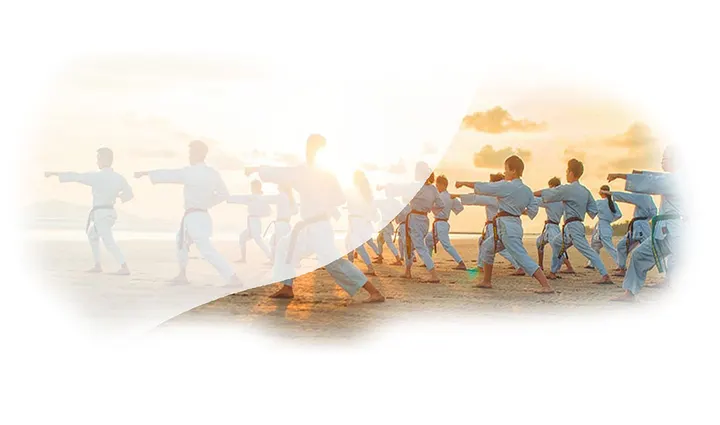 WILLPOWER GIM — fitness studio-studio i Varea, Logroño