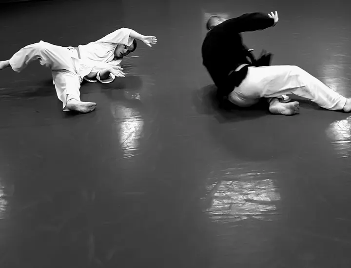 CSMPQ Budokan — arts martiaux-studio au Petit-Quevilly — 4