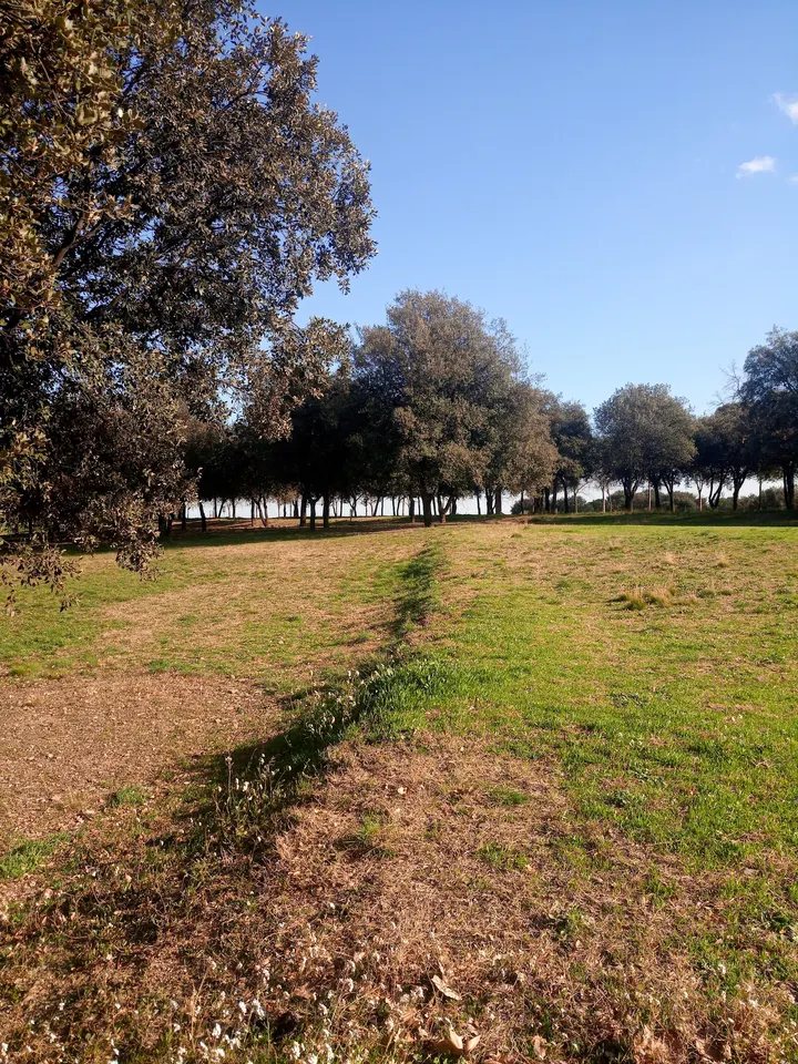 SWS Parque Street Workout y Calistenia — estudio de fitness-studio en la Concòrdia, Sabadell — 2