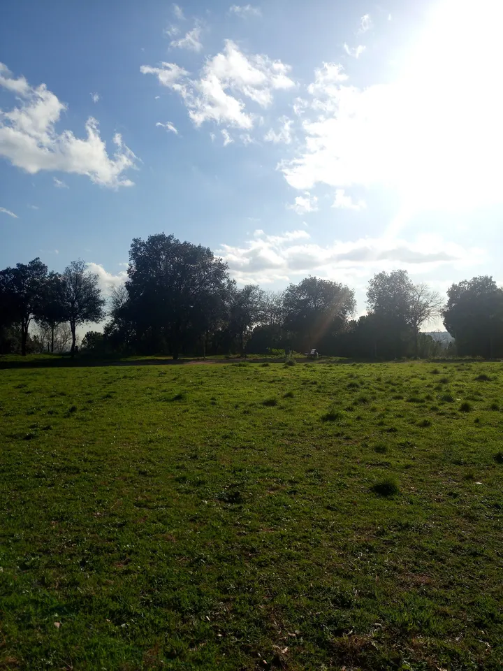 SWS Parque Street Workout y Calistenia — estudio de fitness-studio en la Concòrdia, Sabadell — 3