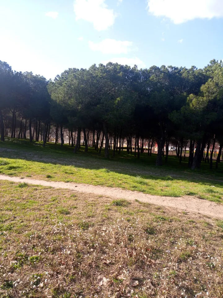 SWS Parque Street Workout y Calistenia — Estudio de fitness en la Concòrdia, Sabadell