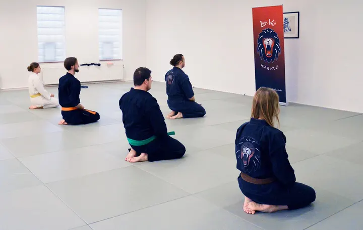 Lion Kai Karate — kampfsport-studio in Bärenschanze, Nürnberg — 2