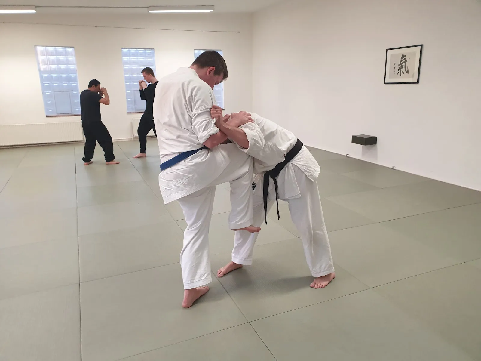 Lion Kai Karate — kampfsport-studio in Nürnberg — 3
