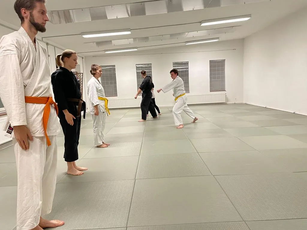 Lion Kai Karate — kampfsport-studio in Nürnberg — 5