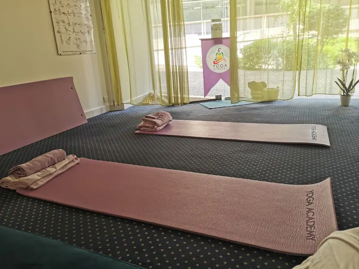 ACADÉMIE FRANÇAISE DE YOGA — yoga-studio à Paris 14e Arrondissement, Paris — 3