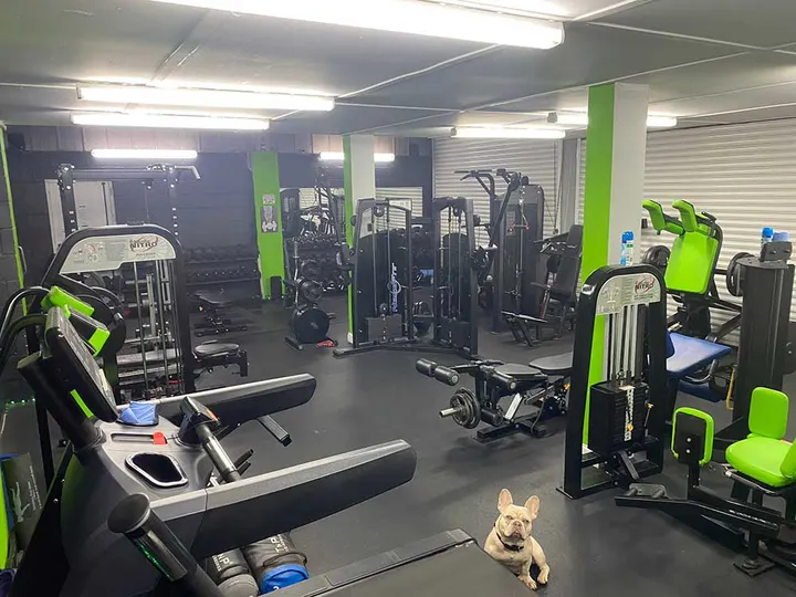 Alpha Athletic Gym — fitness studio in Huntingdon — 3