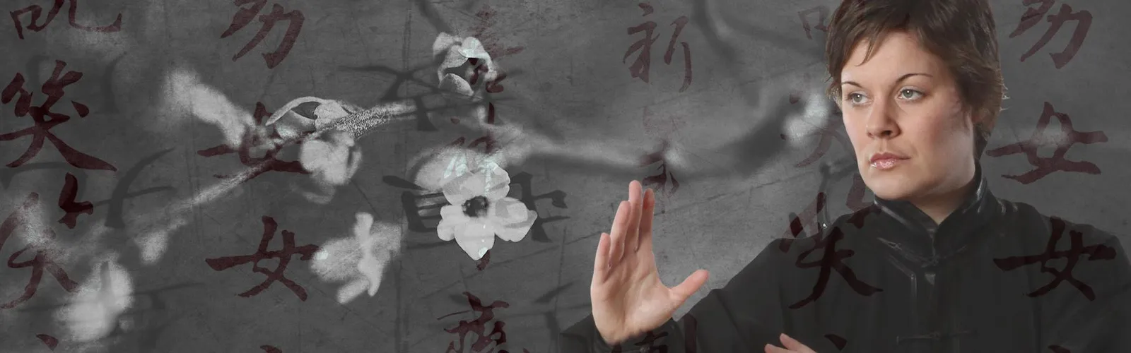 Wu Ji Kung Fu und Tai Chi — kampfsport-studio in Dulsberg, Hamburg — 2