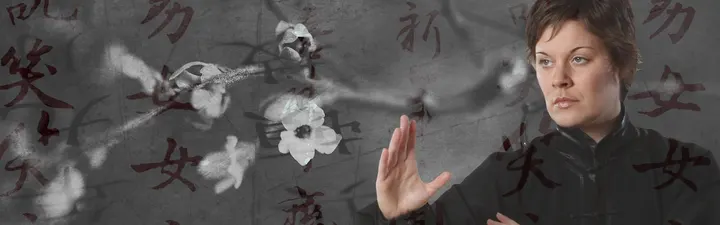 Wu Ji Kung Fu und Tai Chi — kampfsport-studio in Dulsberg, Hamburg — 2