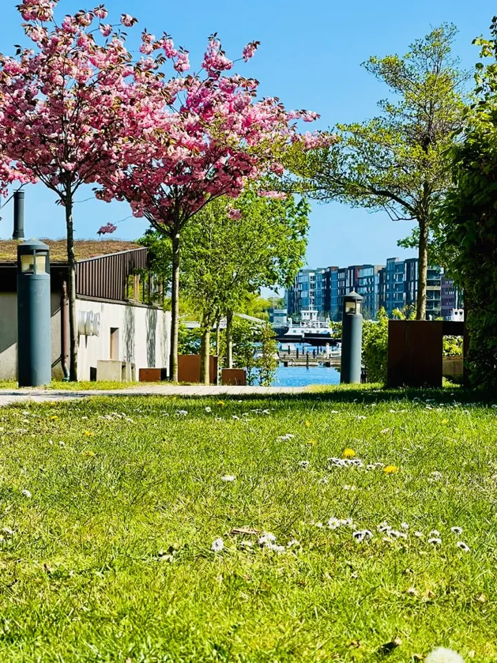 YogaBodyMind v/Mariann Mie Haslund — yoga-studio i Vesterbro, København SV